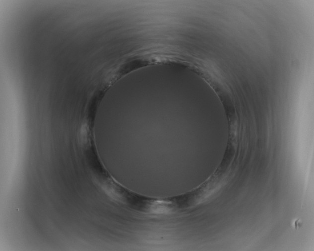 X0000111580222200907161431