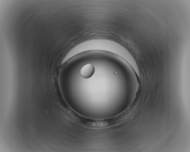 X0000111580225200907161431