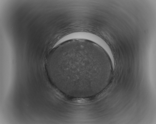 X0000111580229200907161431