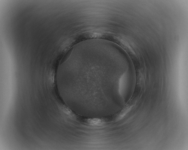 X0000111580230200907161431