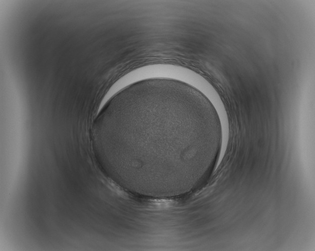X0000111580233200907161431
