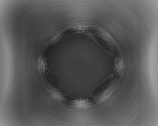 X0000111580235200907161431