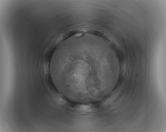 X0000111580236200907161431