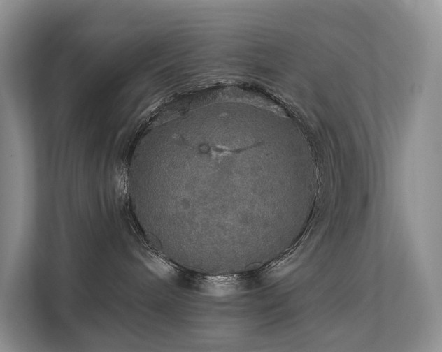 X0000111580240200907161431