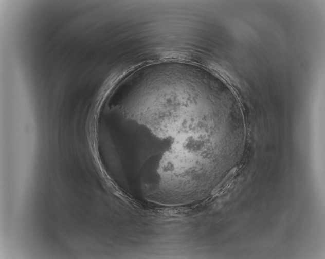 X0000111580241200907161430