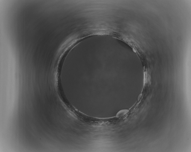 X0000111580243200907161430