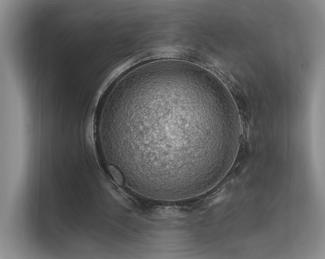 X0000111580244200907161430