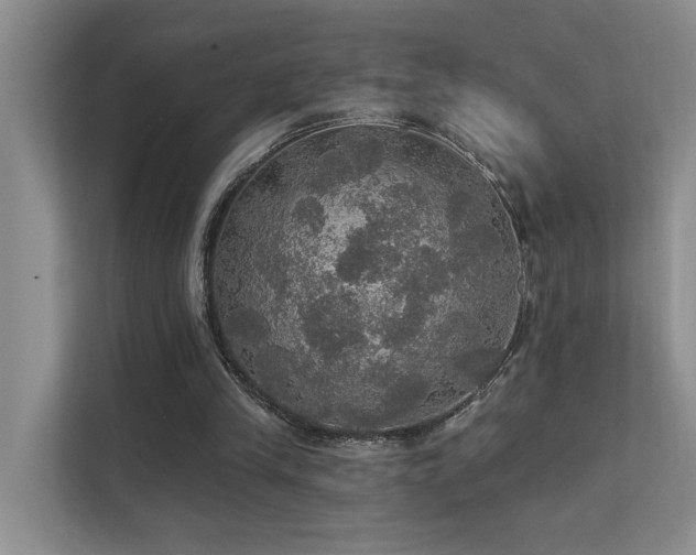 X0000111580245200907161430