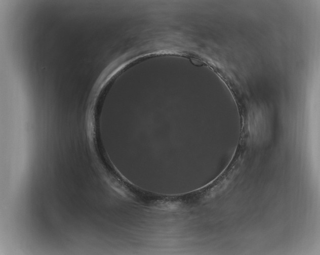 X0000111580247200907161430