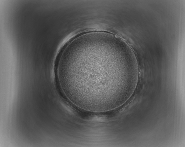 X0000111580248200907161430
