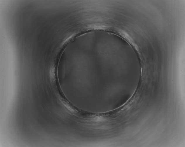 X0000111580249200907161431