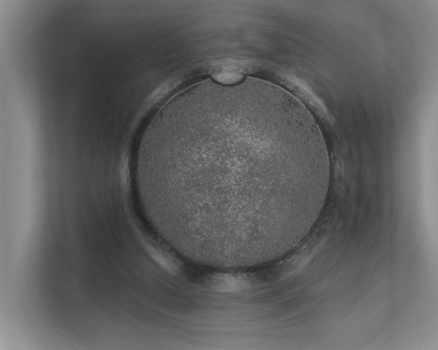 X0000111580250200907161431
