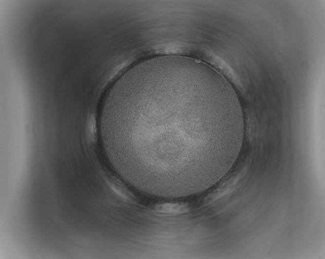 X0000111580251200907161431