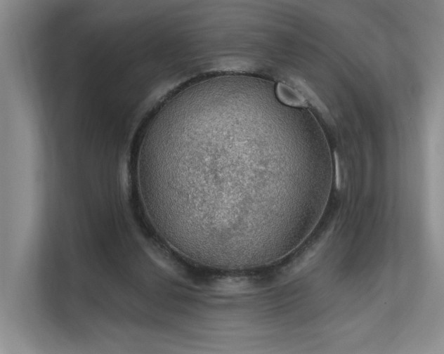 X0000111580252200907161431