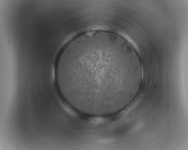 X0000111580253200907161431