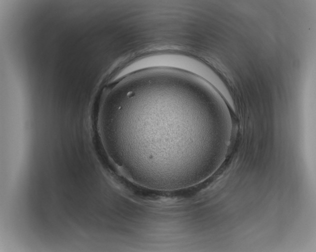 X0000111580256200907161431