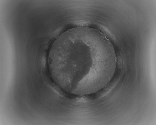 X0000111580259200907161431