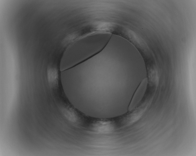 X0000111580260200907161431