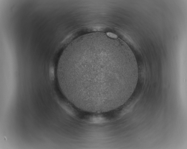 X0000111580262200907161431
