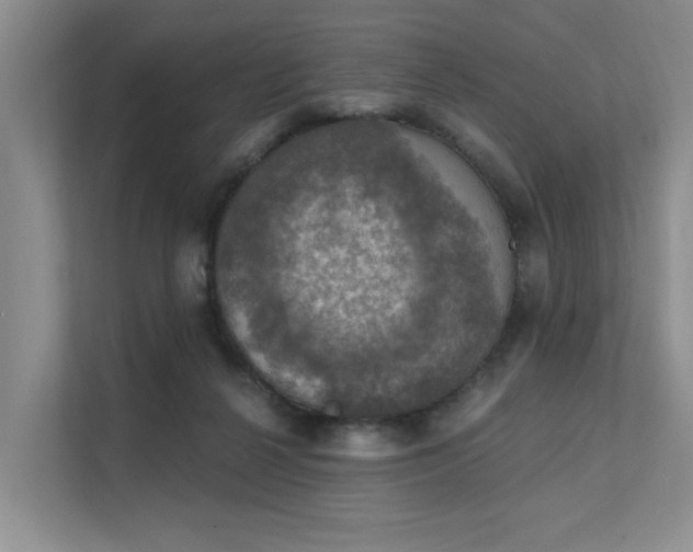 X0000111580264200907161431