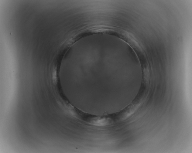 X0000111580267200907161431