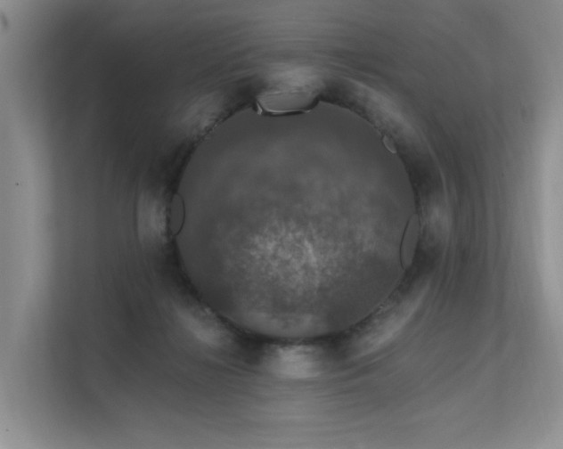 X0000111580268200907161431