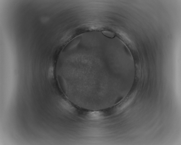 X0000111580269200907161431