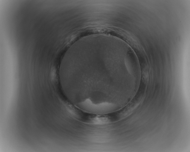 X0000111580270200907161431