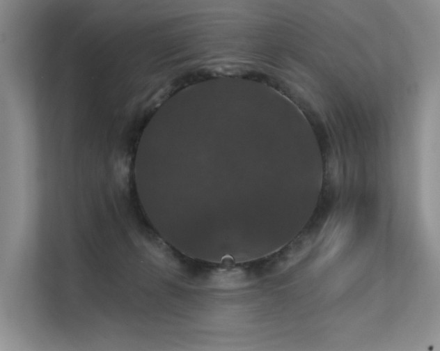 X0000111580271200907161431