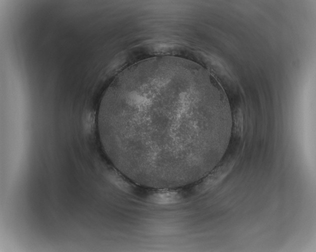 X0000111580278200907161431