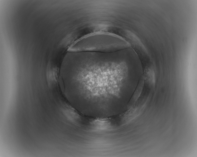 X0000111580280200907161431