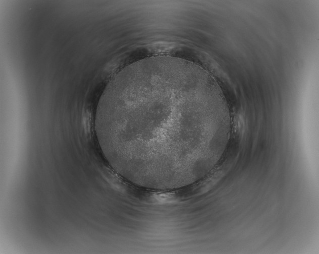 X0000111580283200907161431