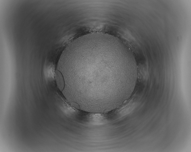 X0000111580287200907161431