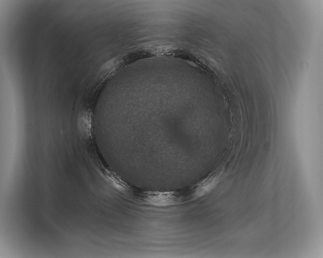 X0000111580288200907161431
