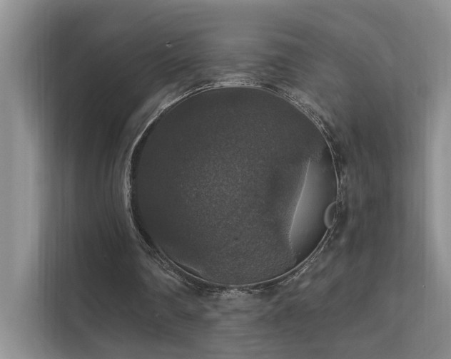 X0000111580290200907161430