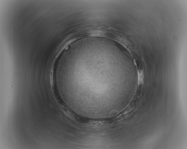 X0000111580291200907161430