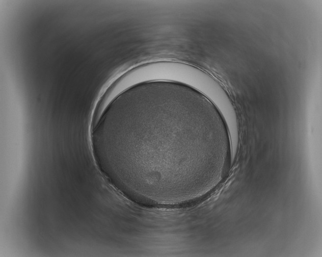 X0000111580292200907161430