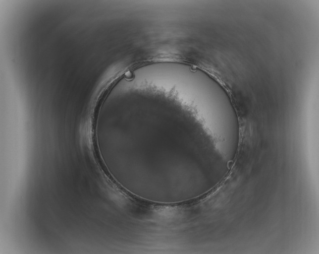 X0000111580293200907161430