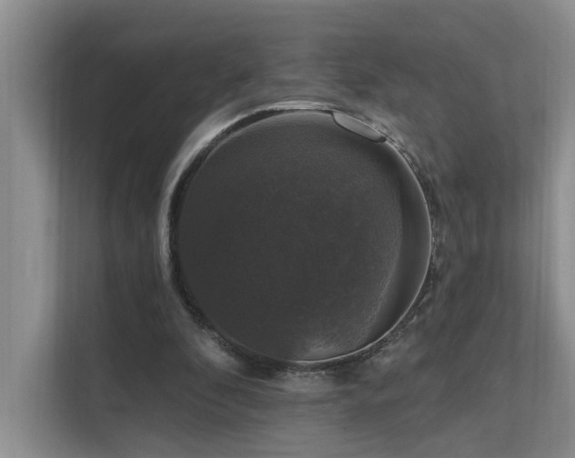 X0000111580296200907161430