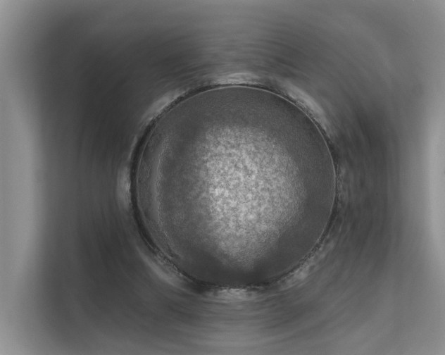 X0000111580298200907161430