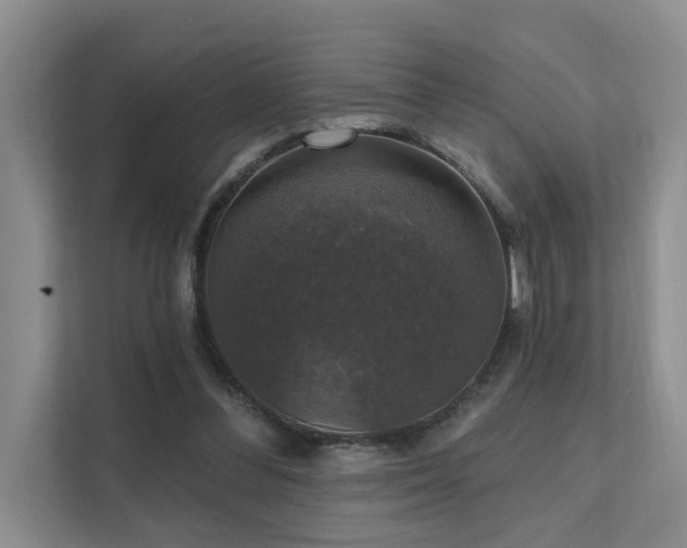 X0000111580300200907161430
