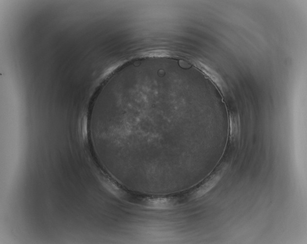 X0000111580301200907161430