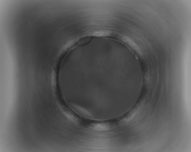 X0000111580303200907161430