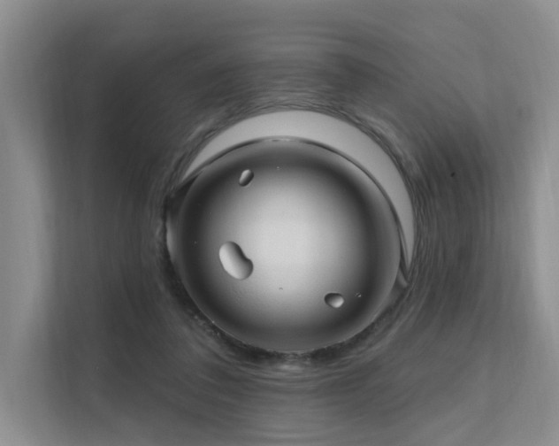 X0000111580308200907161430