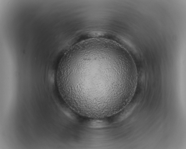 X0000111580315200907161430