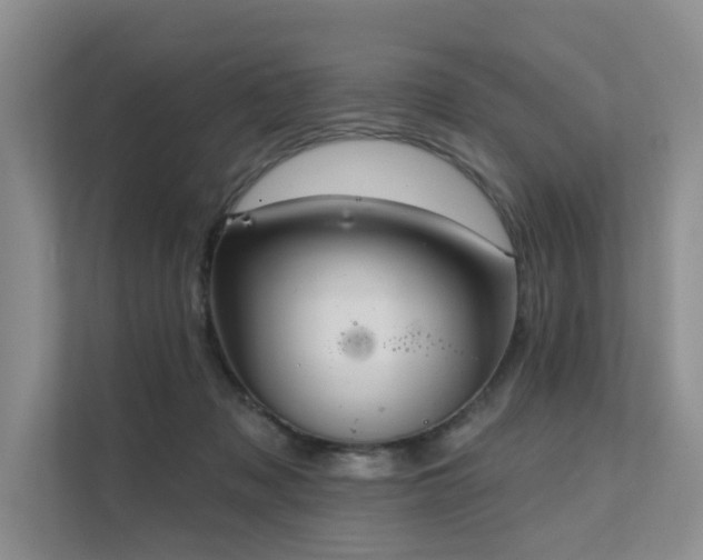 X0000111580317200907161430