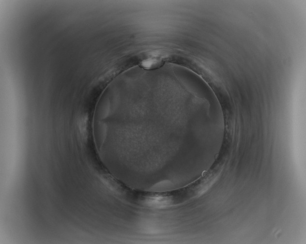 X0000111580319200907161430