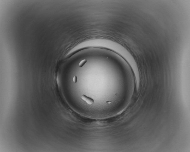 X0000111580320200907161430