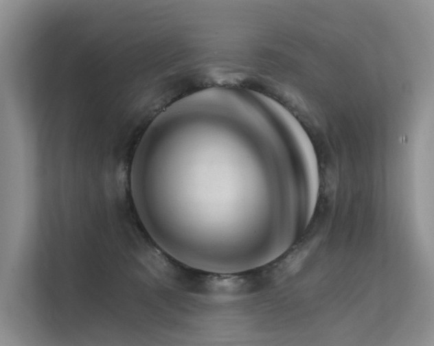 X0000111580321200907161430