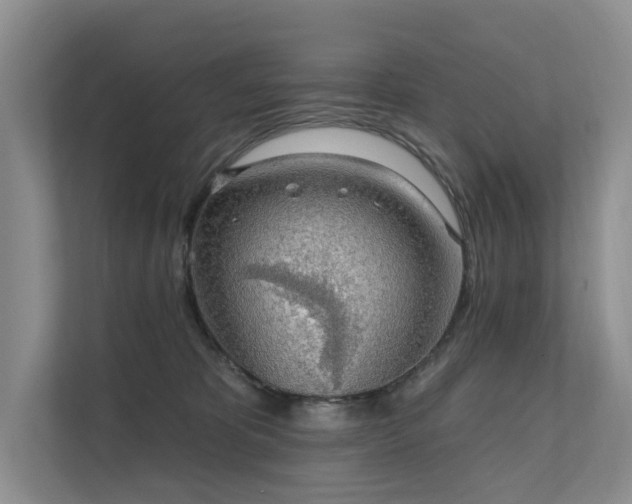 X0000111580325200907161430
